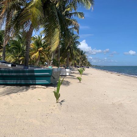 All Seasons Belize 홉킨스 외부 사진
